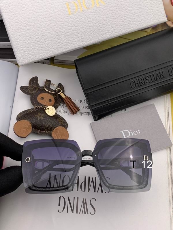 DIOR Sunglasses 383